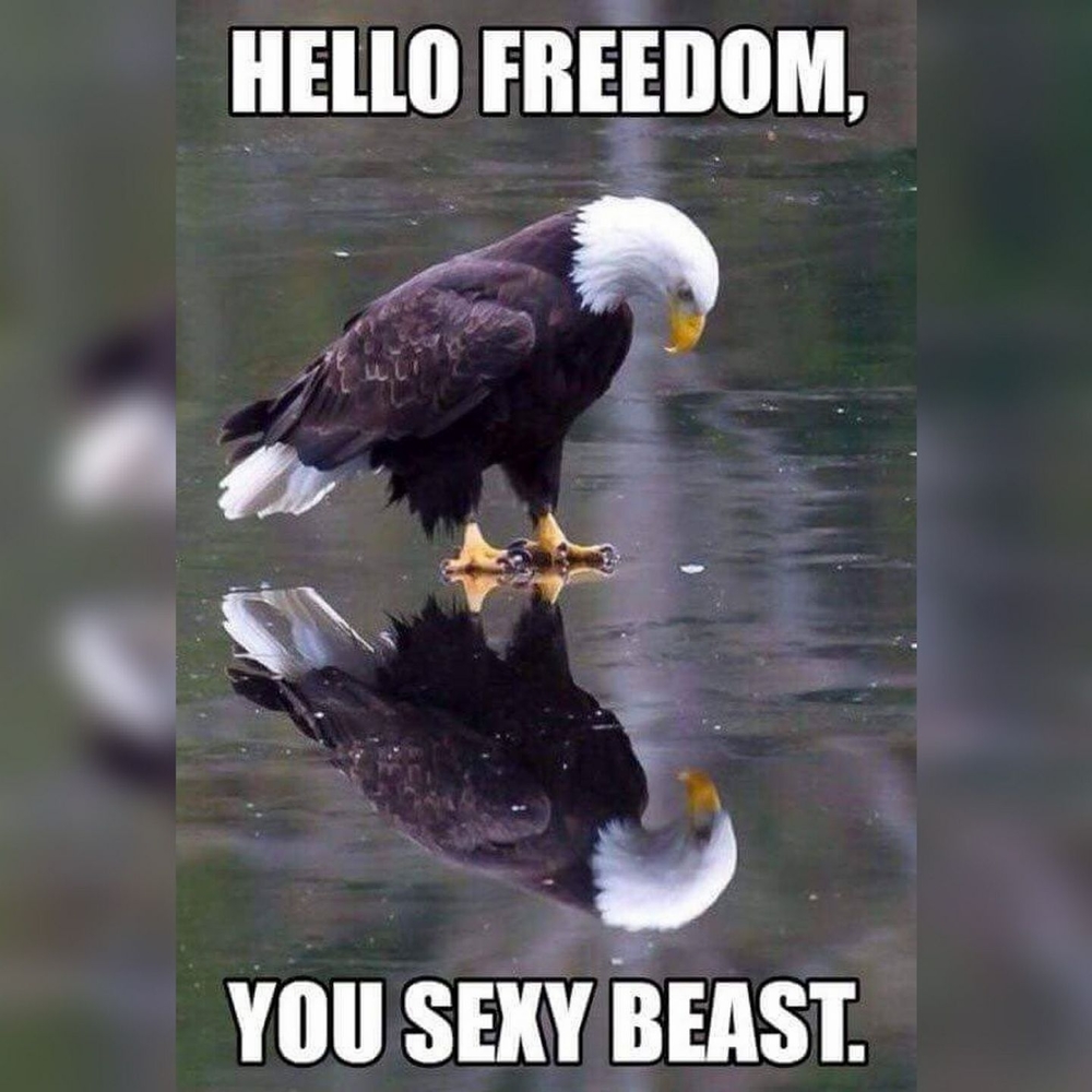 Meet your Posher, Jeff